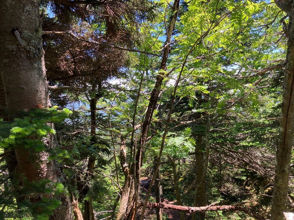 Haystack Mountain