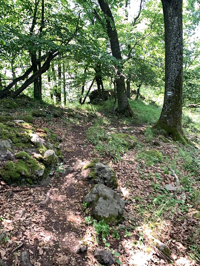 Bagoly-kút