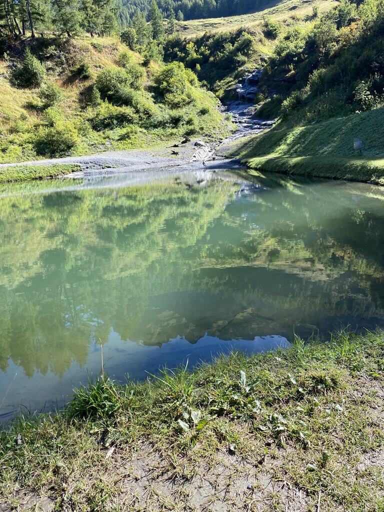 Majingsee