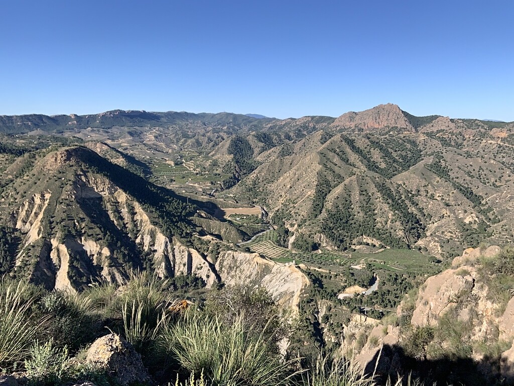 El Puntarrón