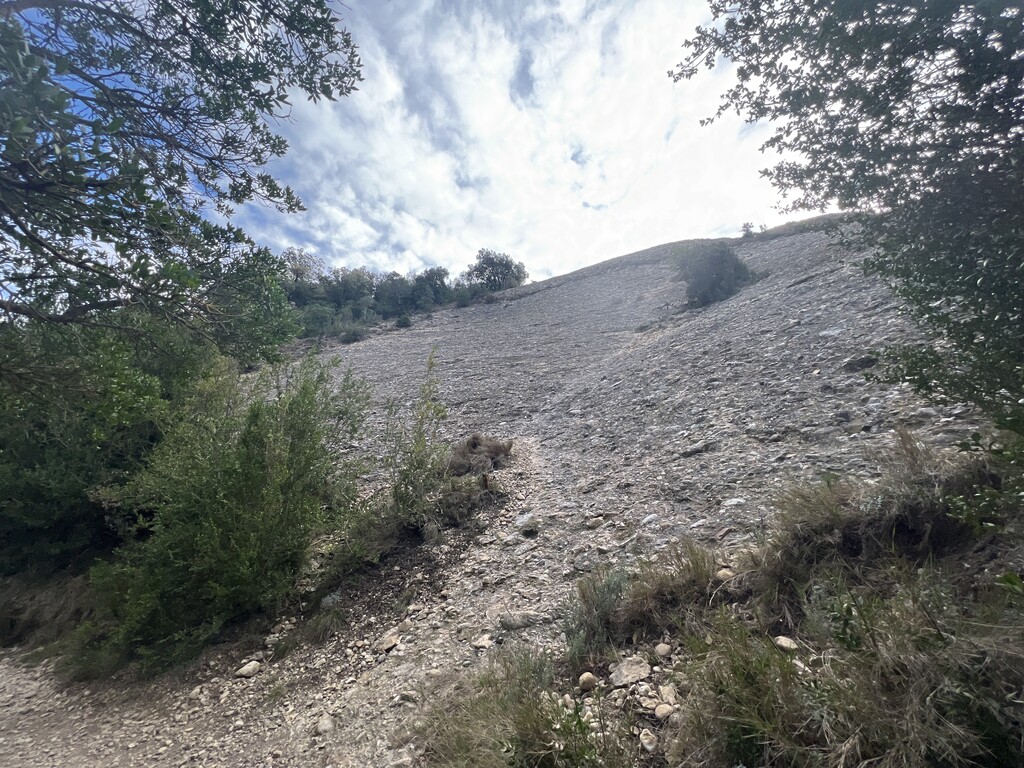 El Cigronet