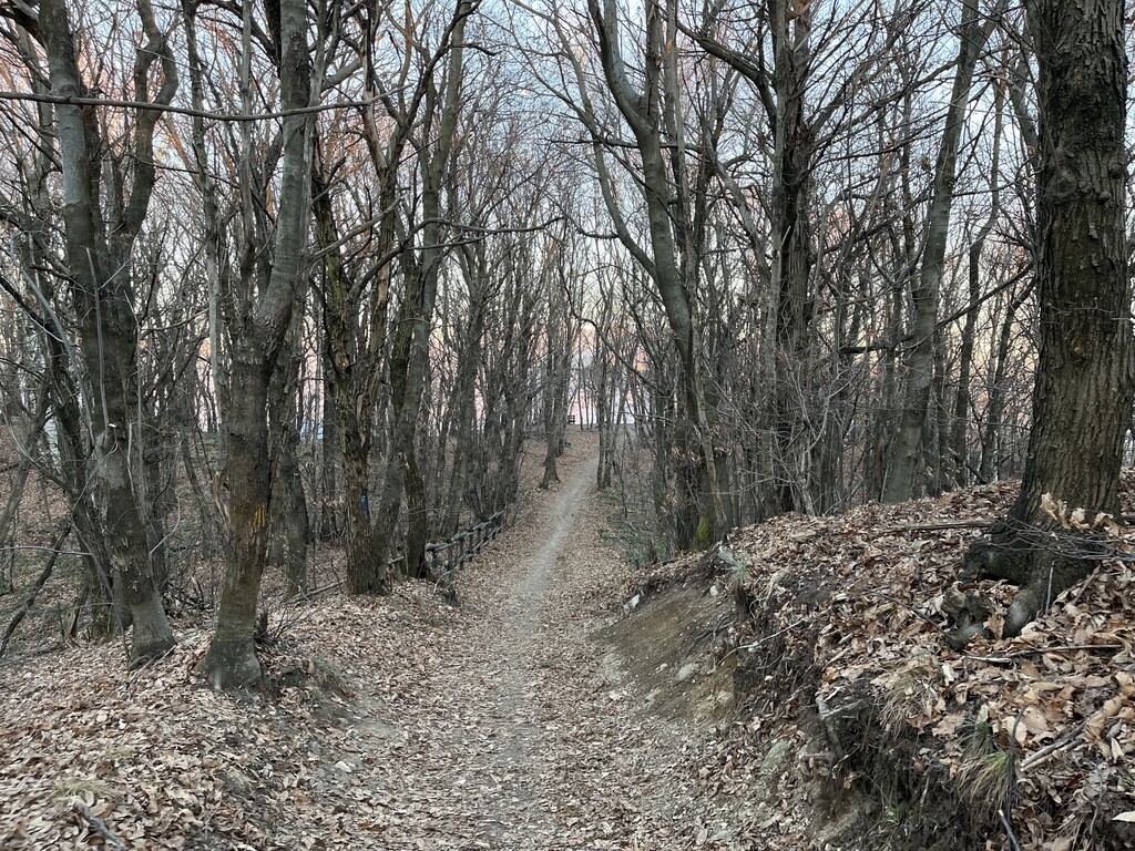 Sasso di Cavallasca