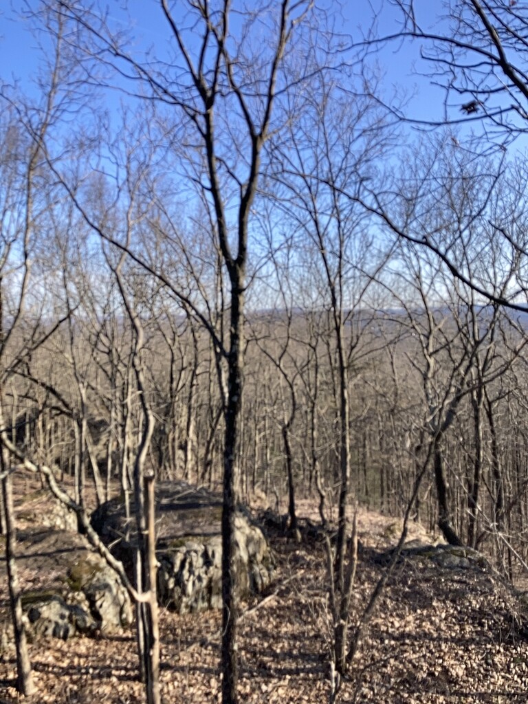 Rattlesnake Mountain