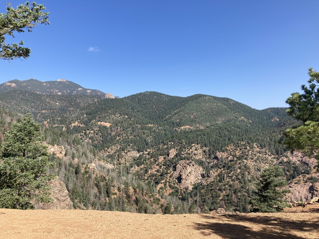 Mount Cutler