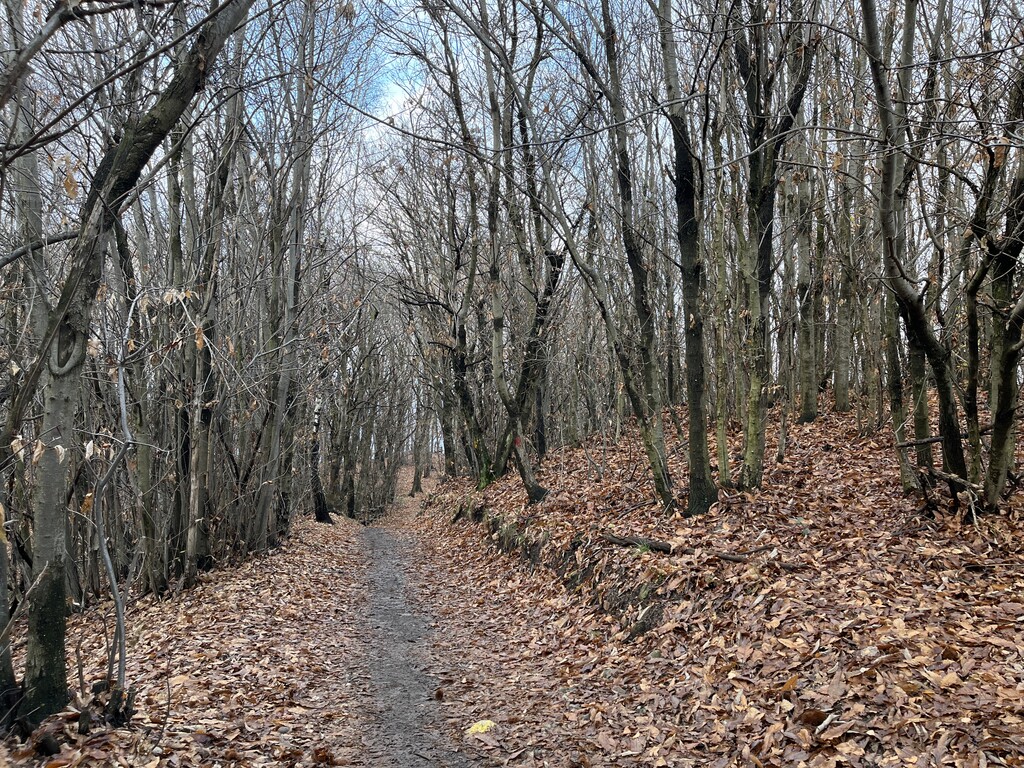 Sasso di Cavallasca