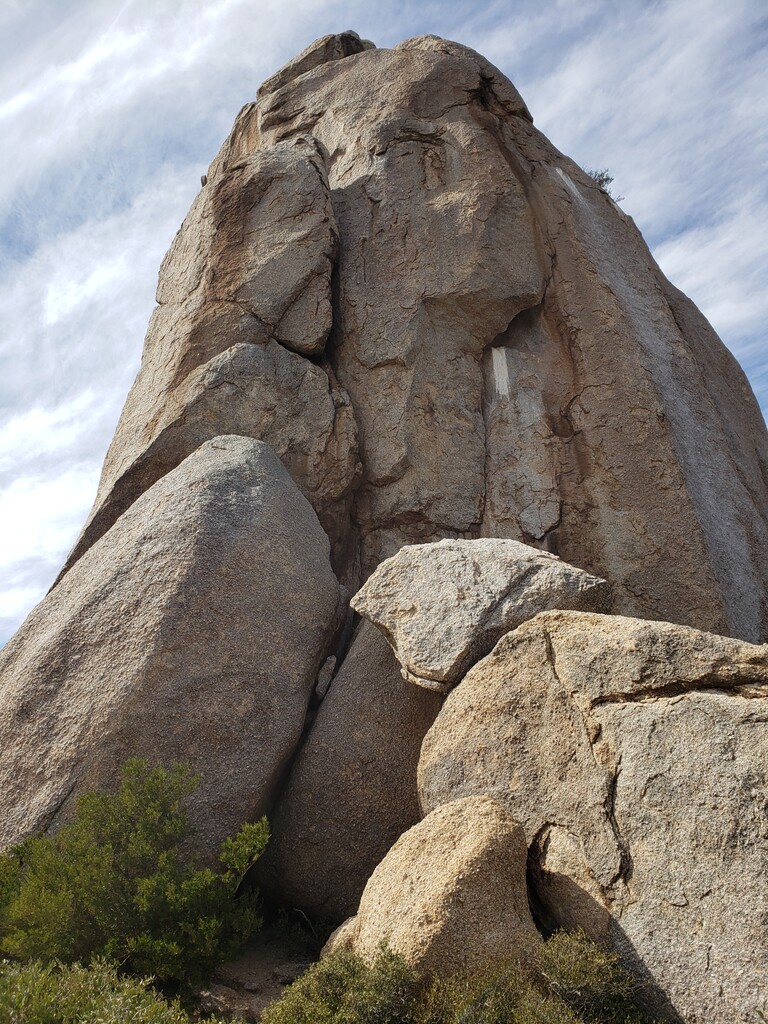 Tom's Thumb