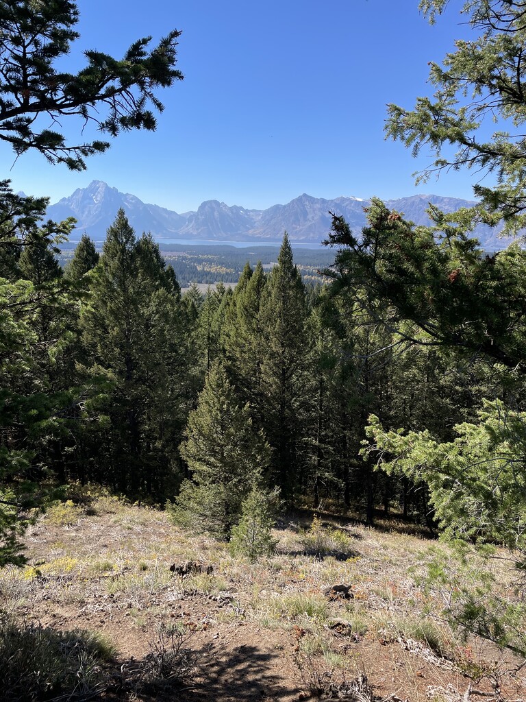 Grand View Point