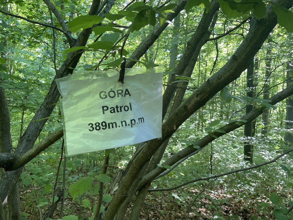 Patrol
