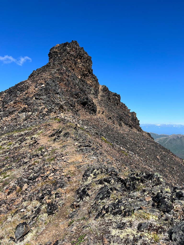 Blacktail Ptarmigan Rocks