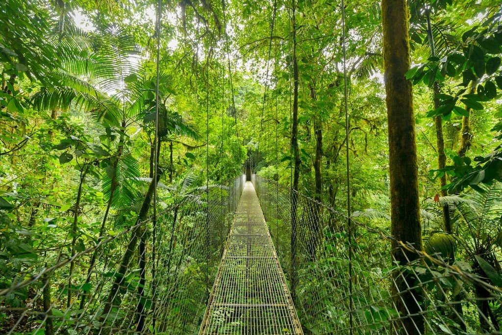 Costa Rica Mountains