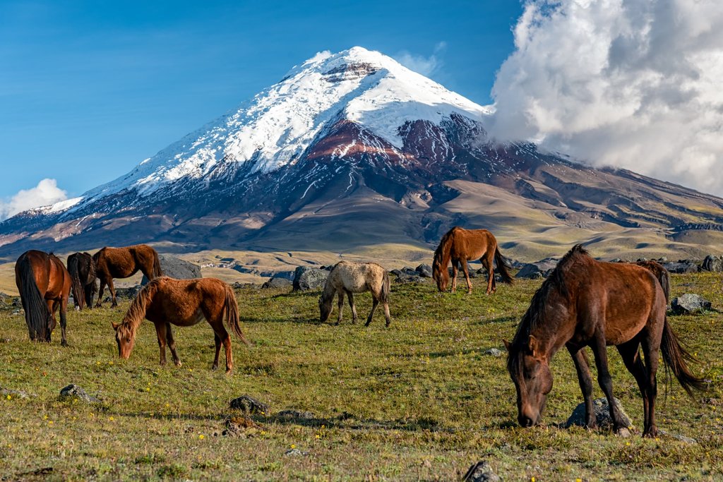 Photo №1 of Cotopaxi