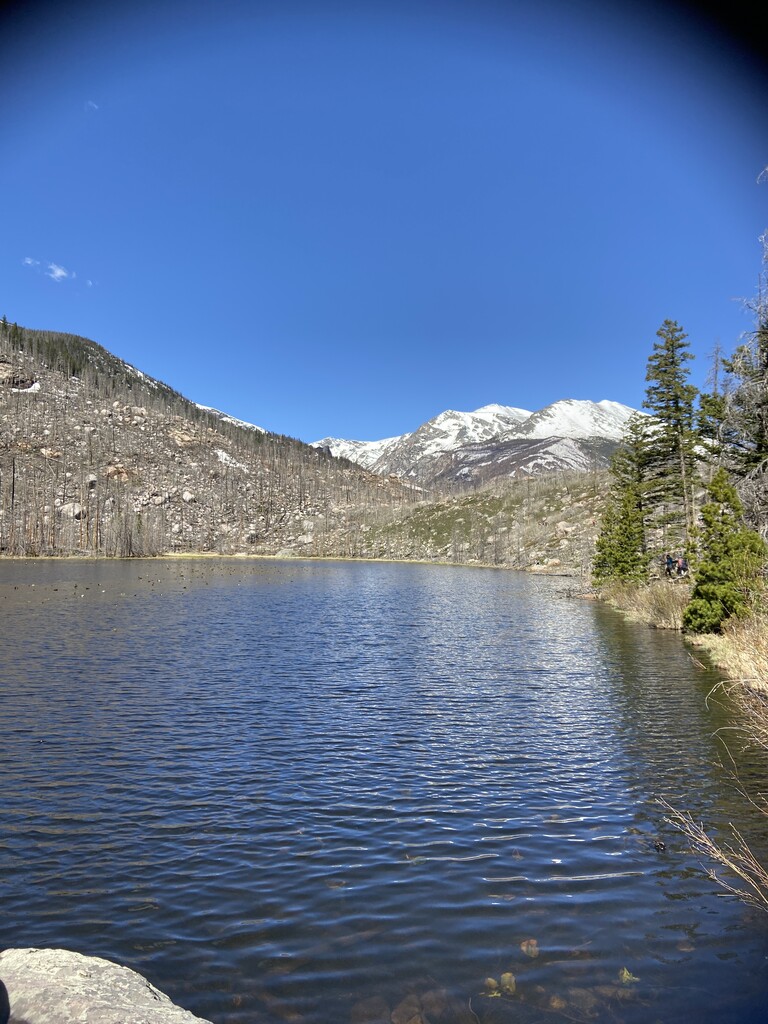 Photo №3 of Cub Lake