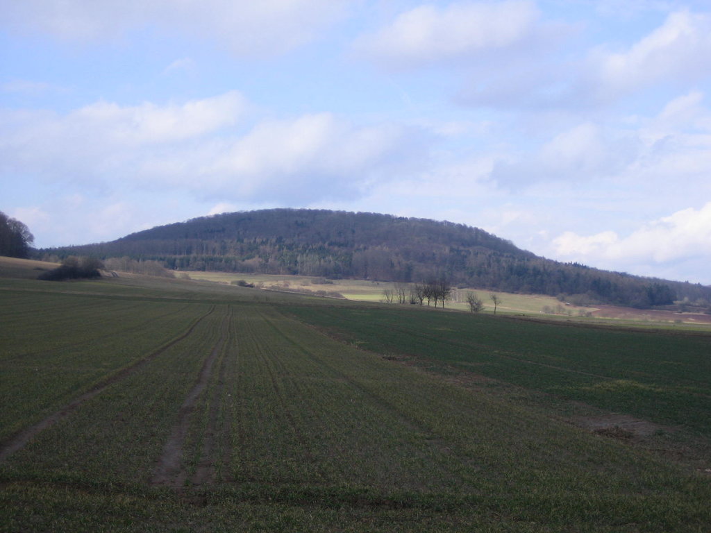 Photo №1 of Altenburg