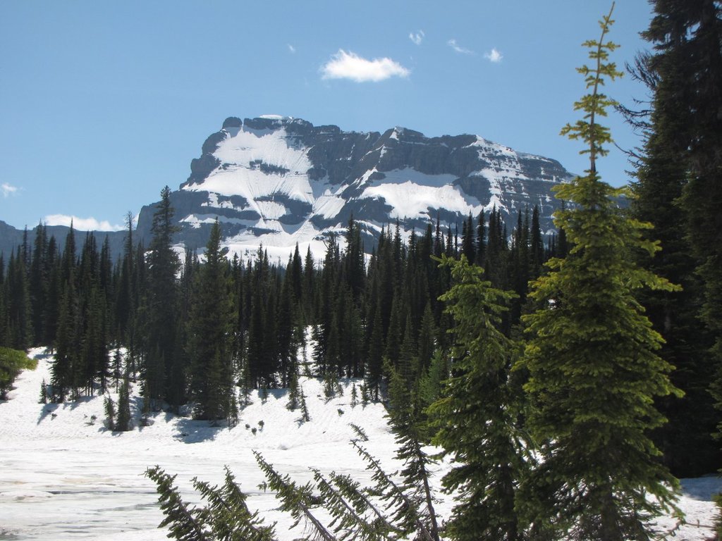 Photo №1 of Mount Custer