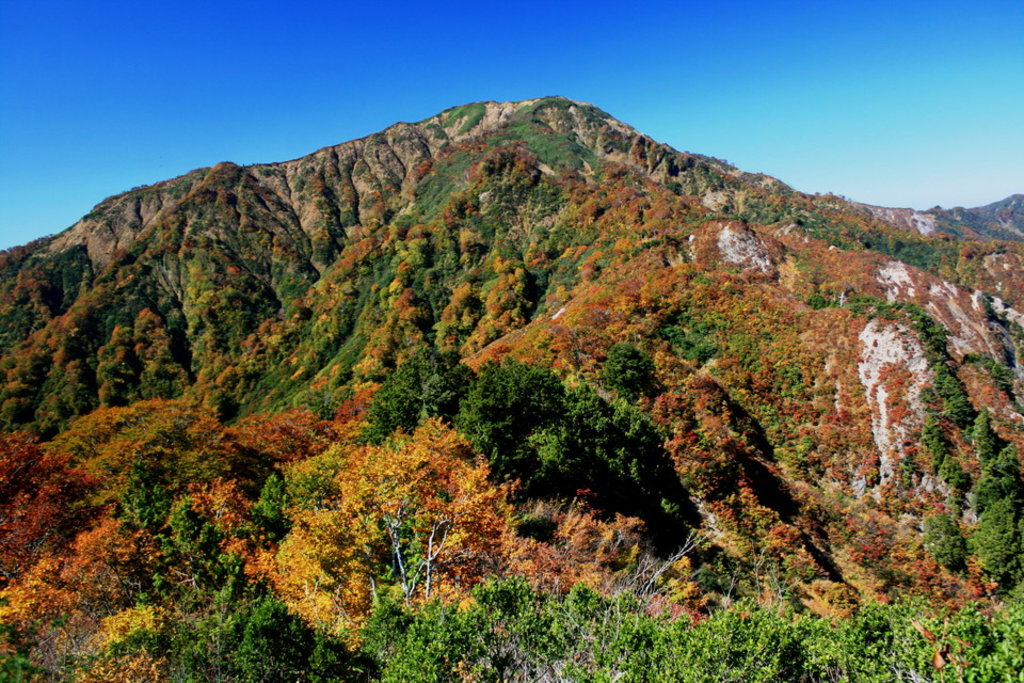 Photo №1 of Mt. Ogasa