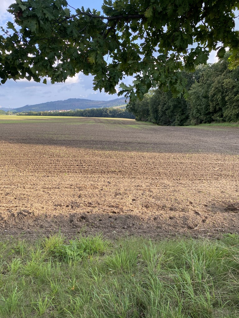 Doberschauer Schanze