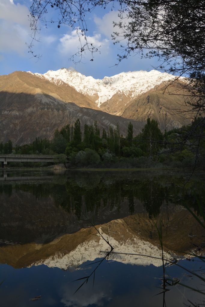 Photo №2 of Dodargaz