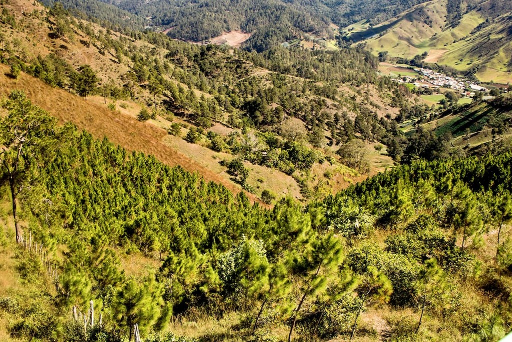 Jose Armando Bermudez National Park. Dominican Republic