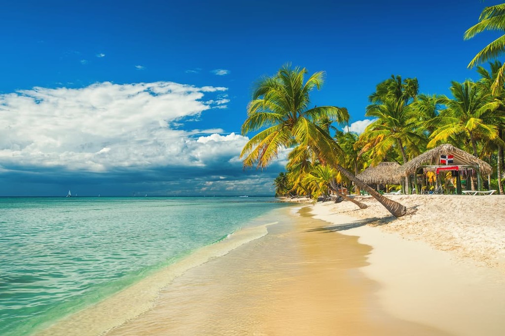 Palm trees on the tropical beach, Dominican Republic