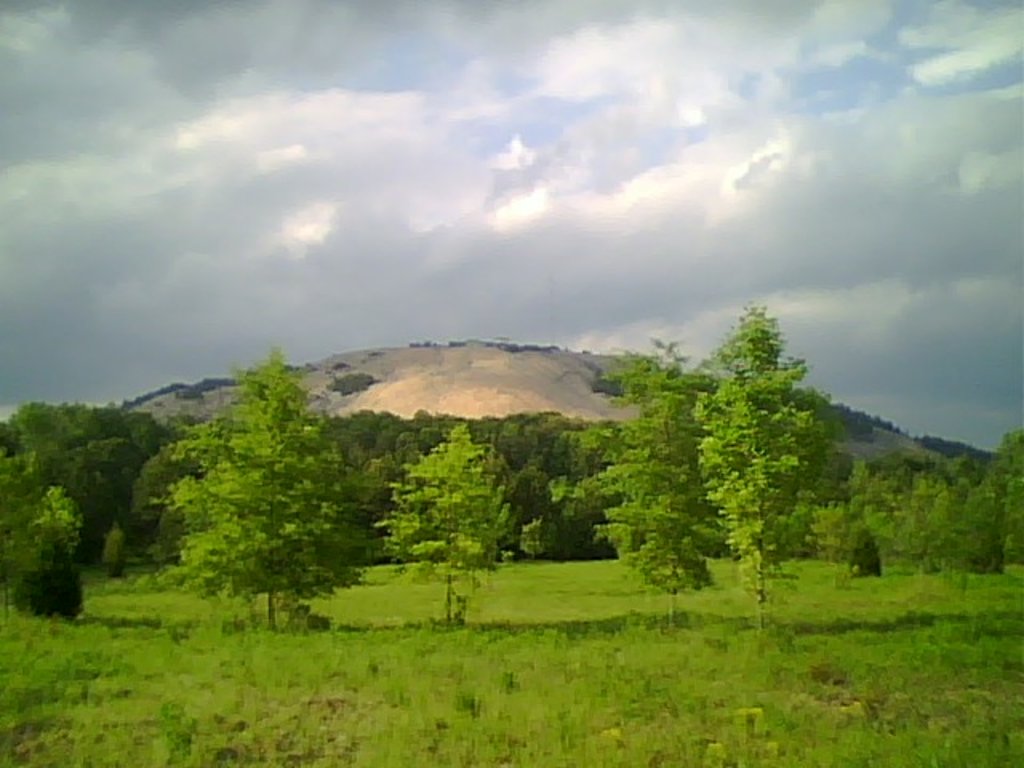 Photo №5 of Stone Mountain
