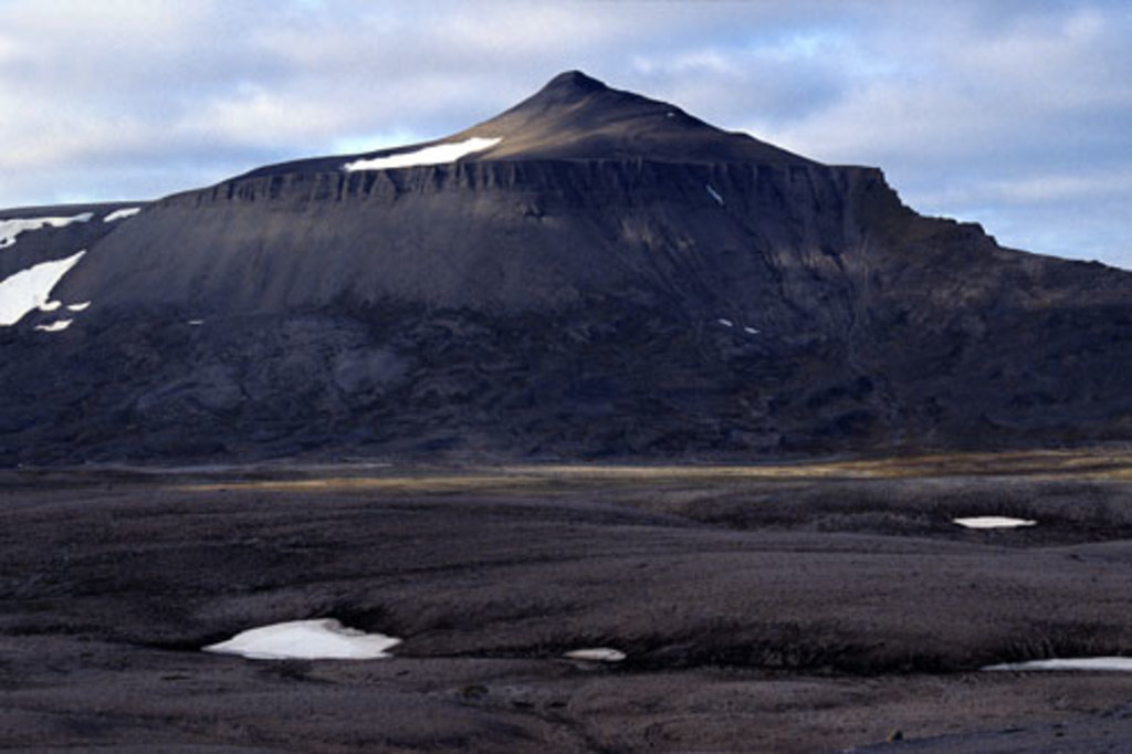 Bear Island