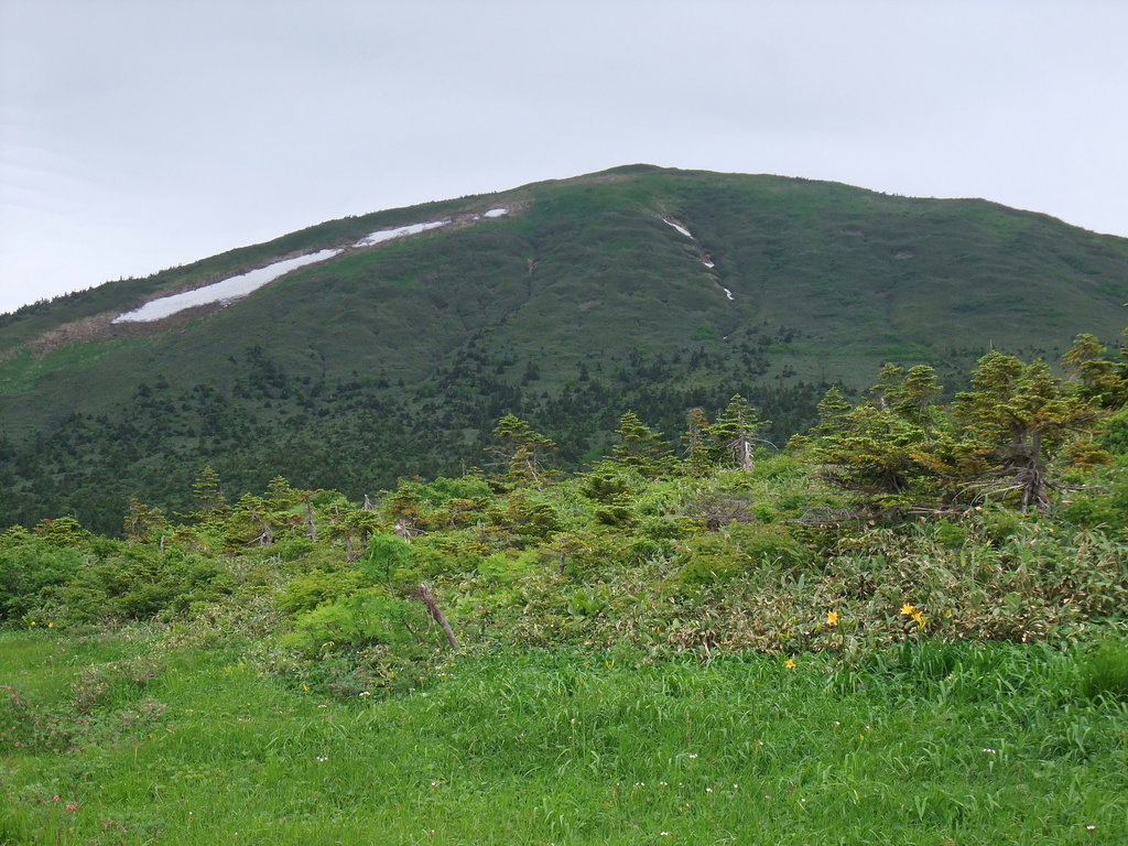 Photo №1 of Mt. Kushigamine