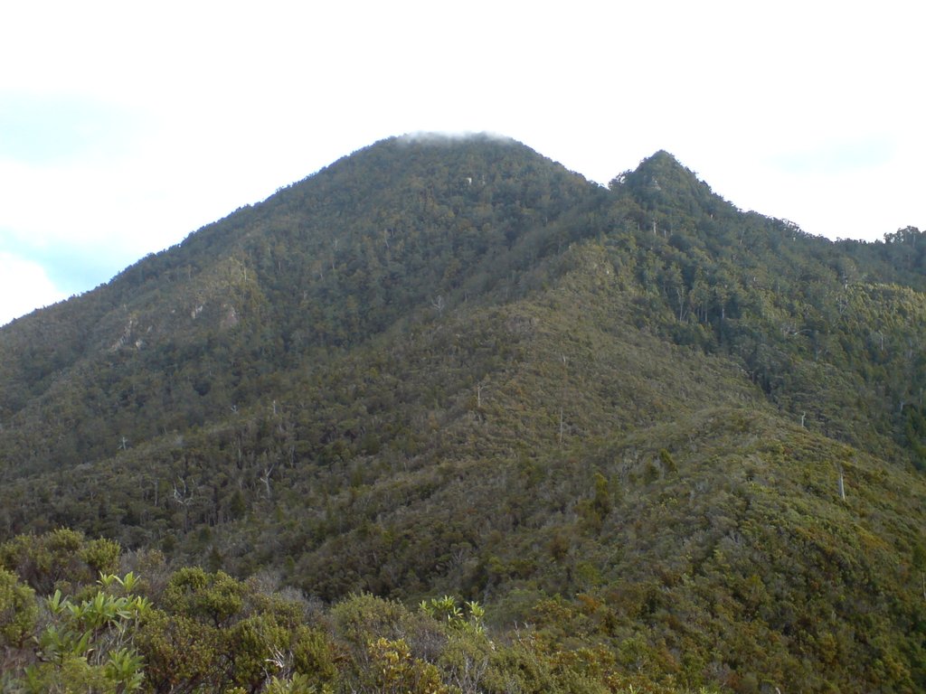 Photo №1 of Mount Hobson