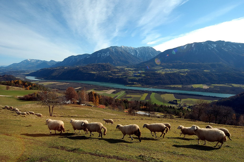 Goli vrh ranč Istra