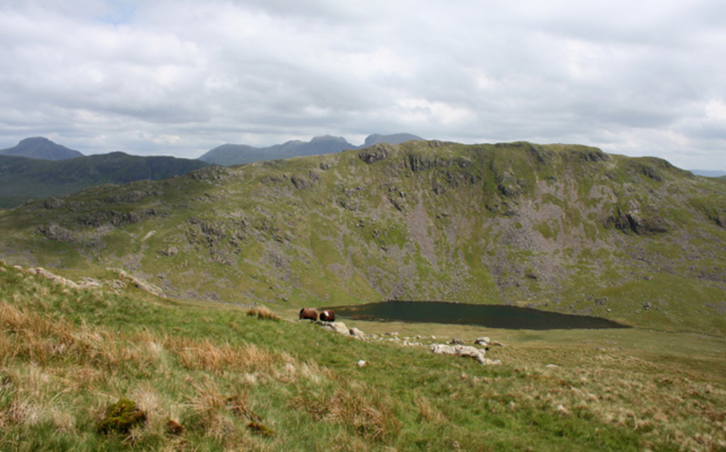 Photo №2 of Middle Fell