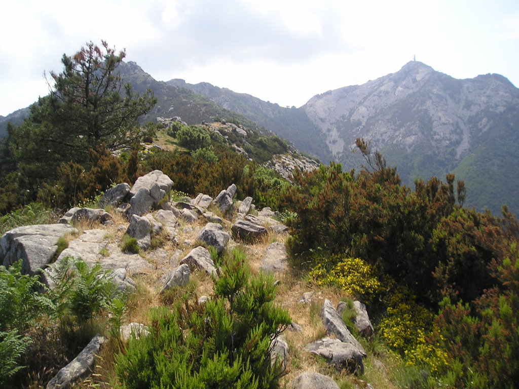 Photo №2 of Monte Capanne