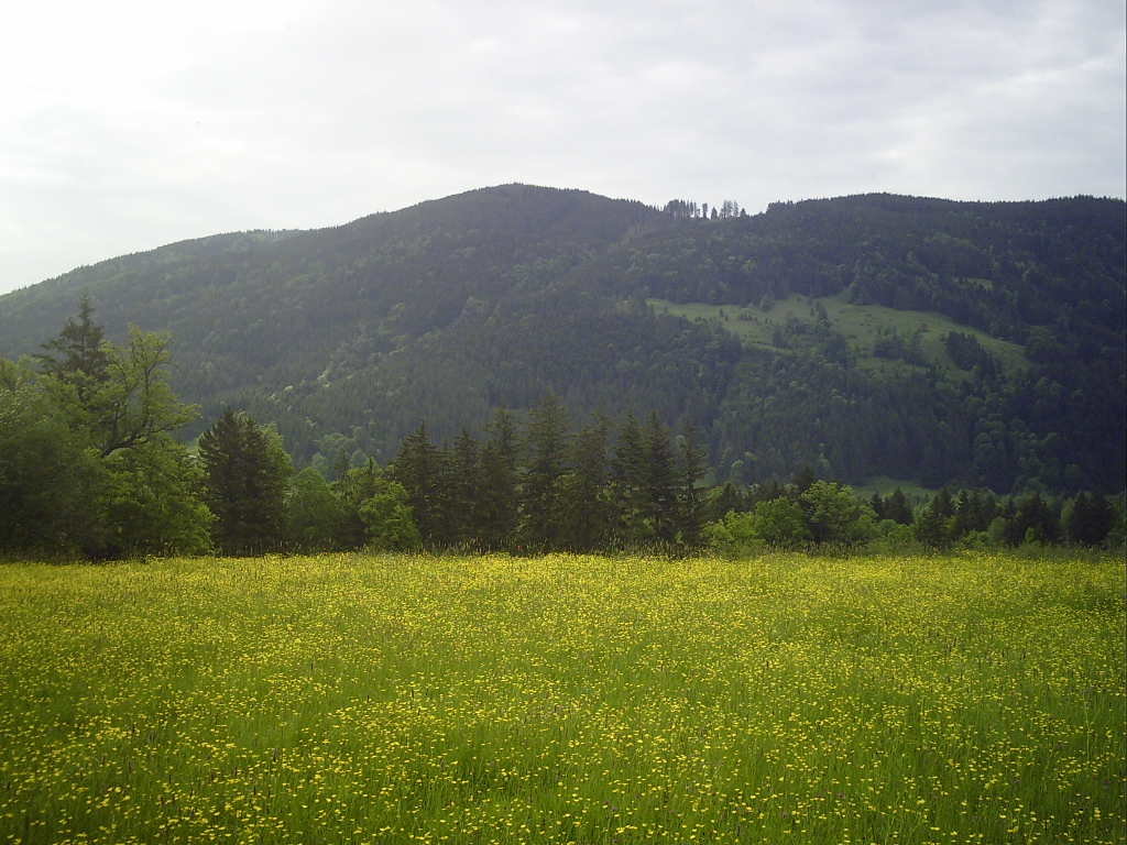 Photo №1 of Rechelkopf