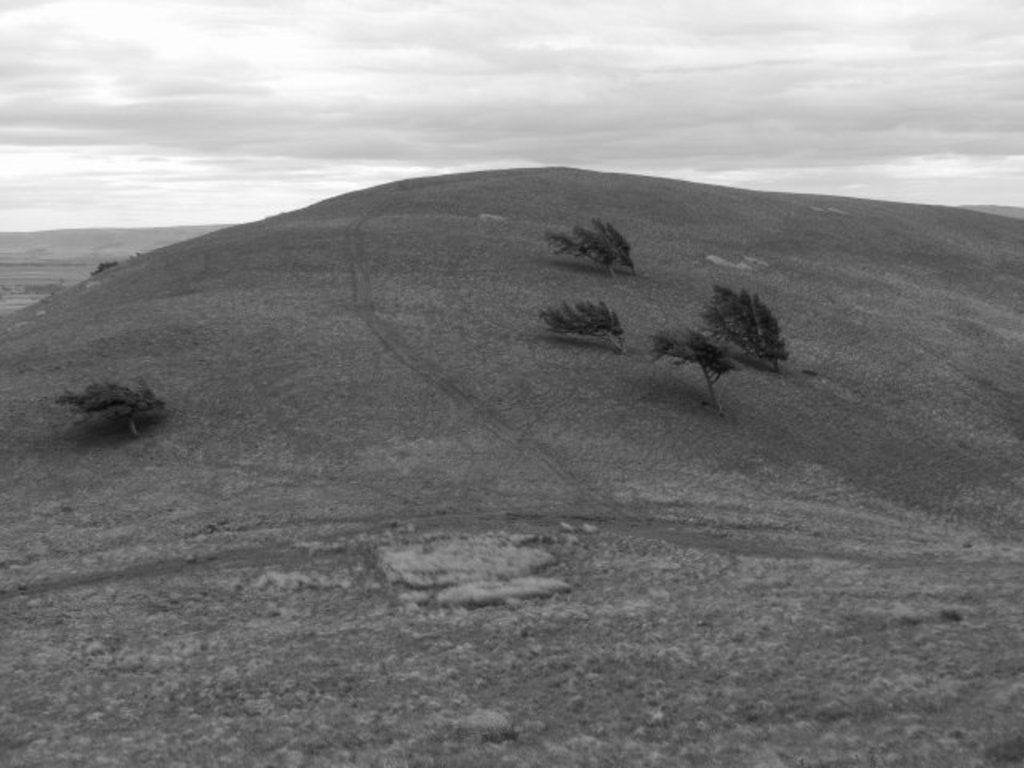 Black hill. Pentland Hills. Black Hills. Колония черные холмы. Пентленд-Ферт.