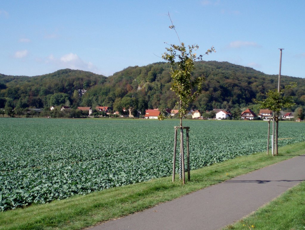 Photo №1 of Königskopf