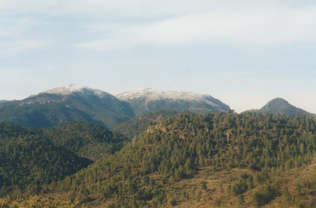 Photo №1 of Pico de La Sarga