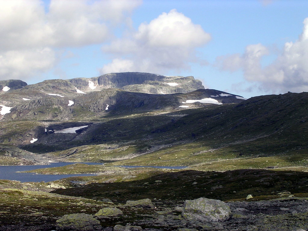 Hardangervidda nasjonalpark