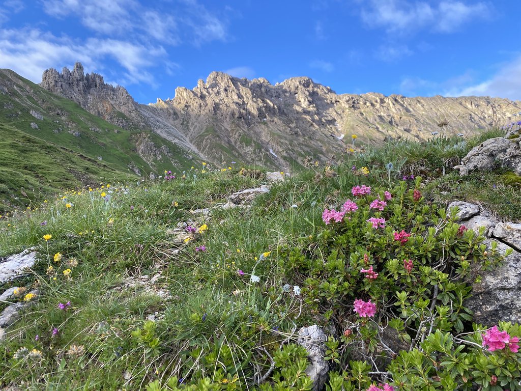 Photo №5 of Furcela - Rosszahnscharte - Forcella Denti di Terrarossa