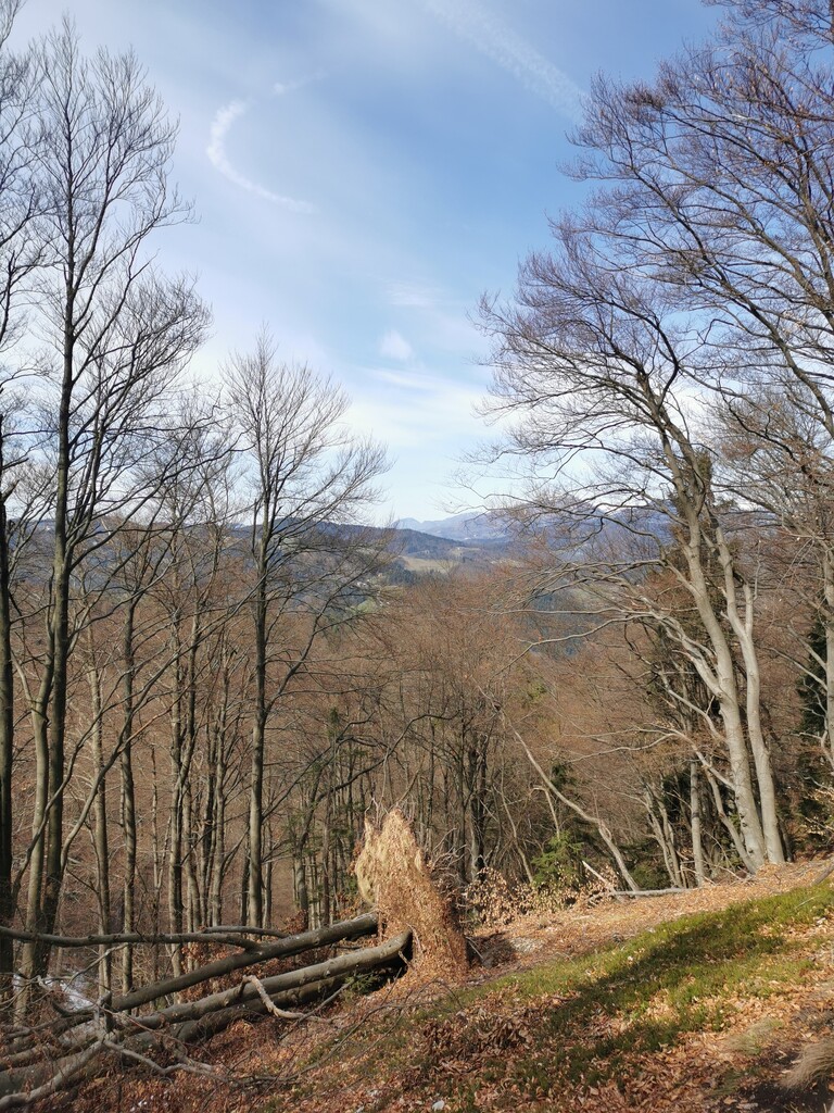 Photo №5 of Gontarska planina