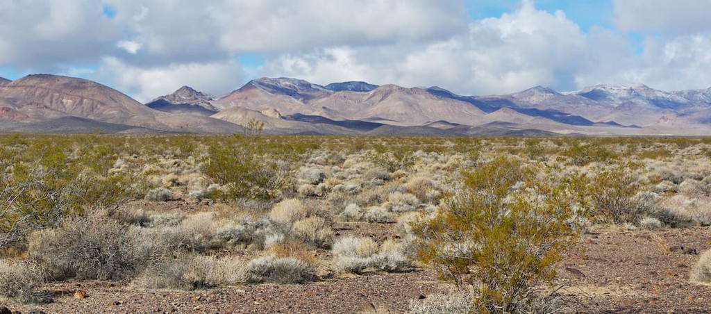 Grapevine Mountains