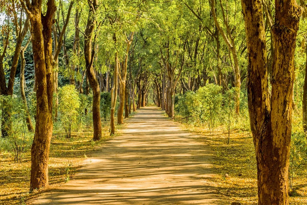 Punit Van park in Gandhinagar, Gujarat