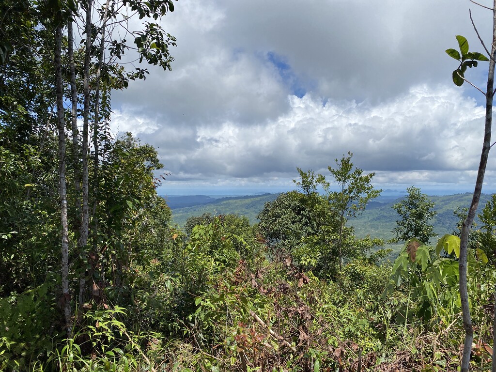 Photo №1 of Gunung Moi