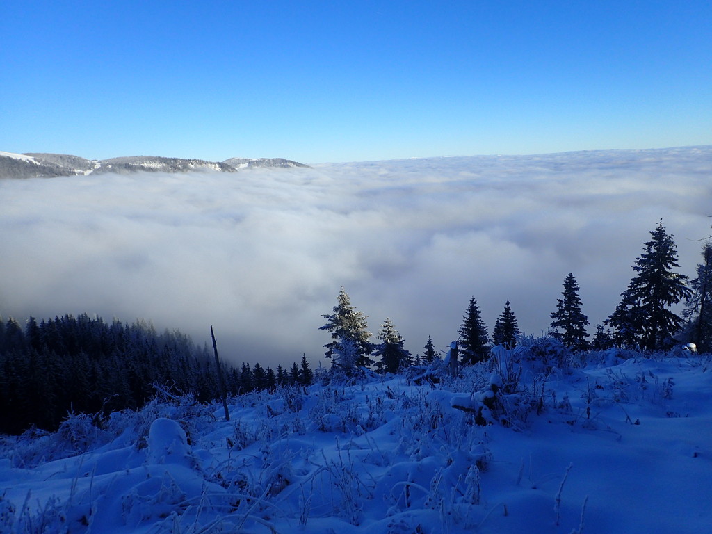 Photo №2 of Ilgner Alpl