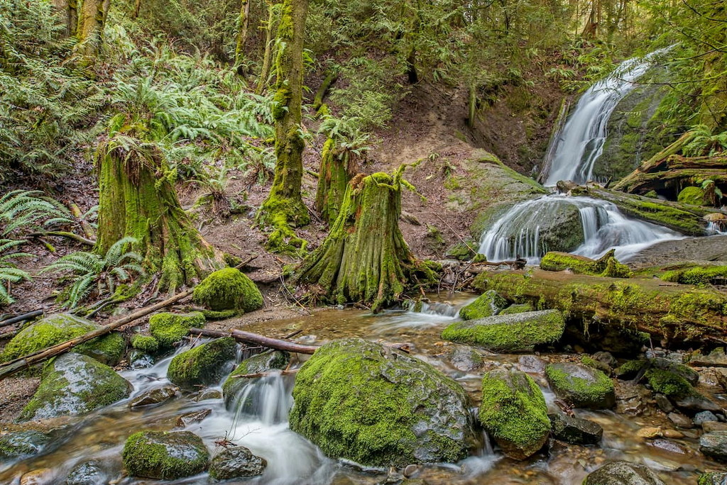 Coal Creek Falls. Cougar Mountain Regional Wildland Park, Washington