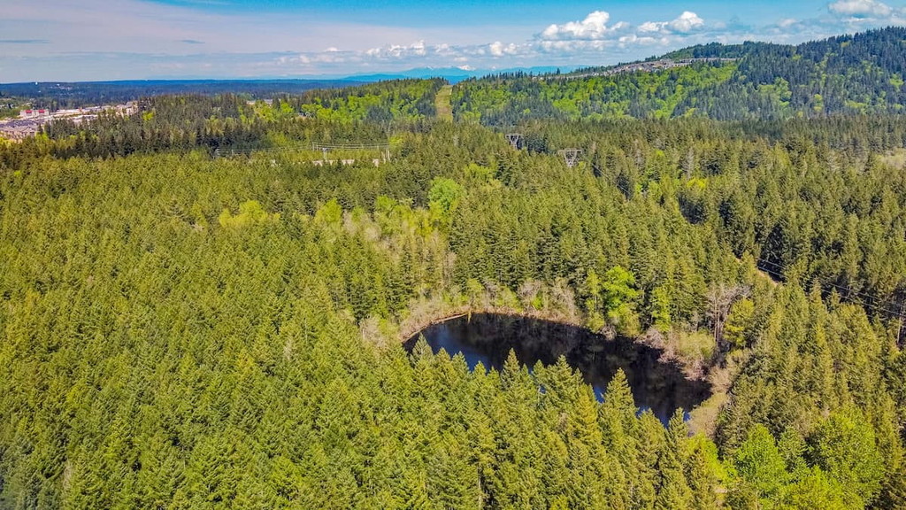 Tiger Mountain State Forest, Washington