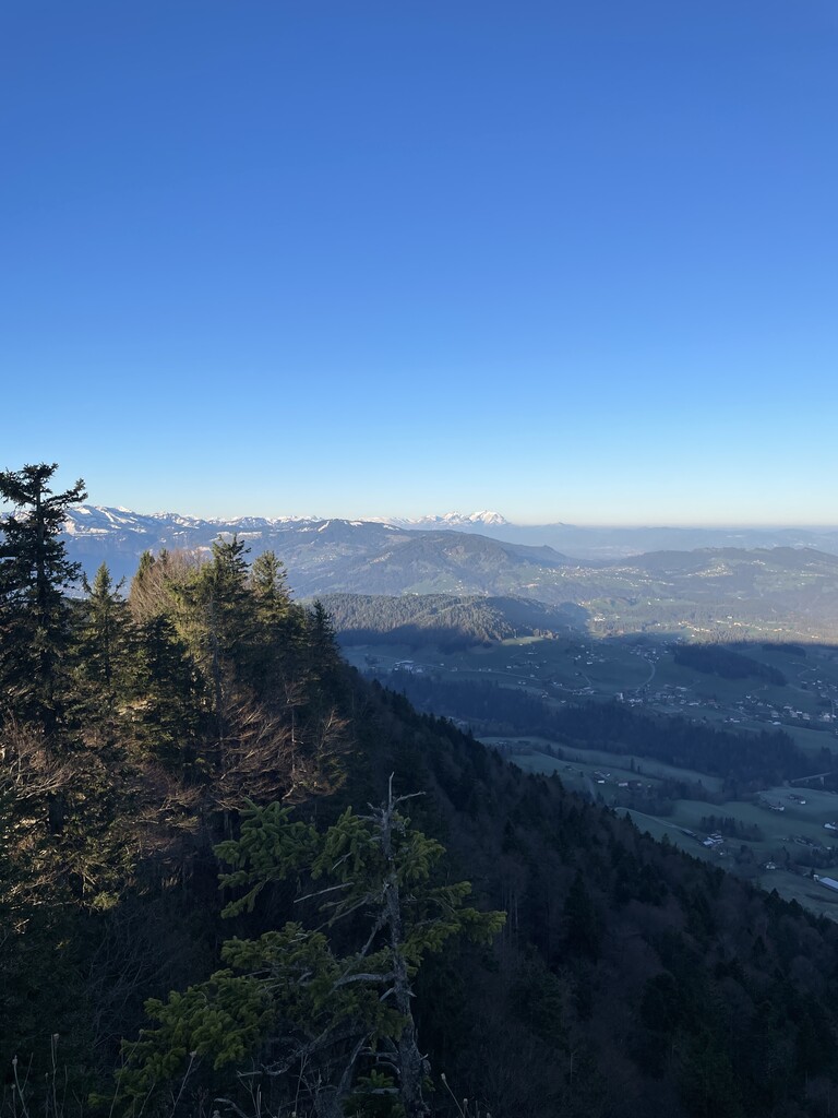 Photo №1 of Kojenstein