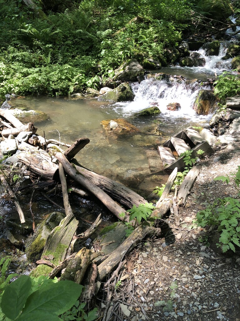 Photo №2 of Kupel