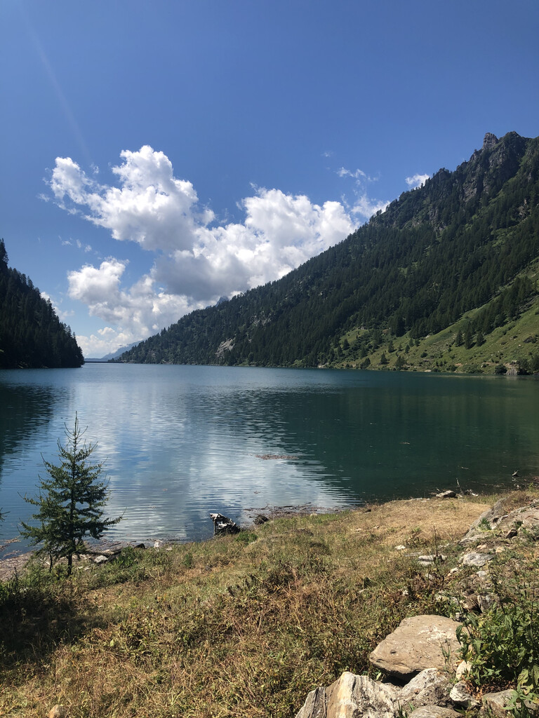 Photo №3 of Lago di Agàro / Agersee