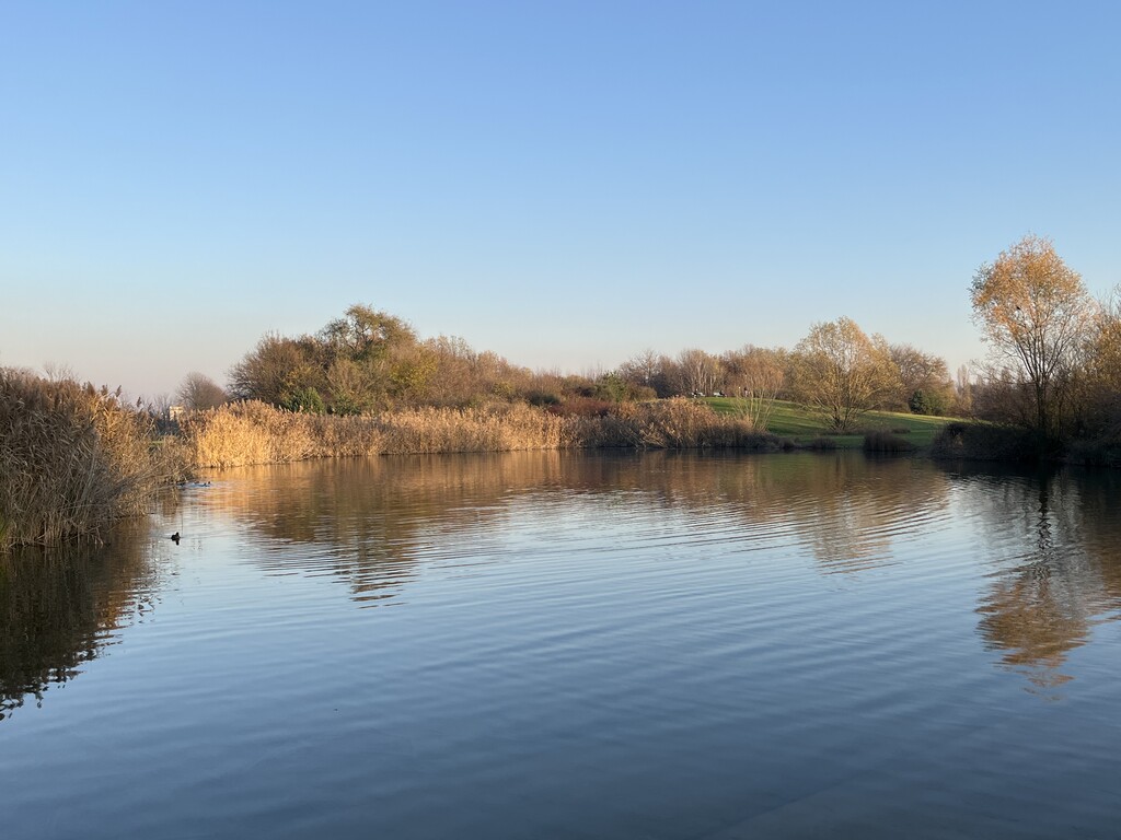 Photo №2 of Lago Nord di Cinisello Balsamo