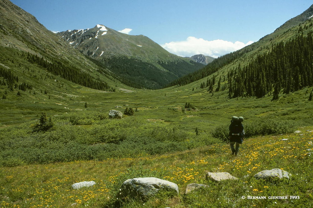 North Fork Lake Creek Trail. Lake County. Colorado