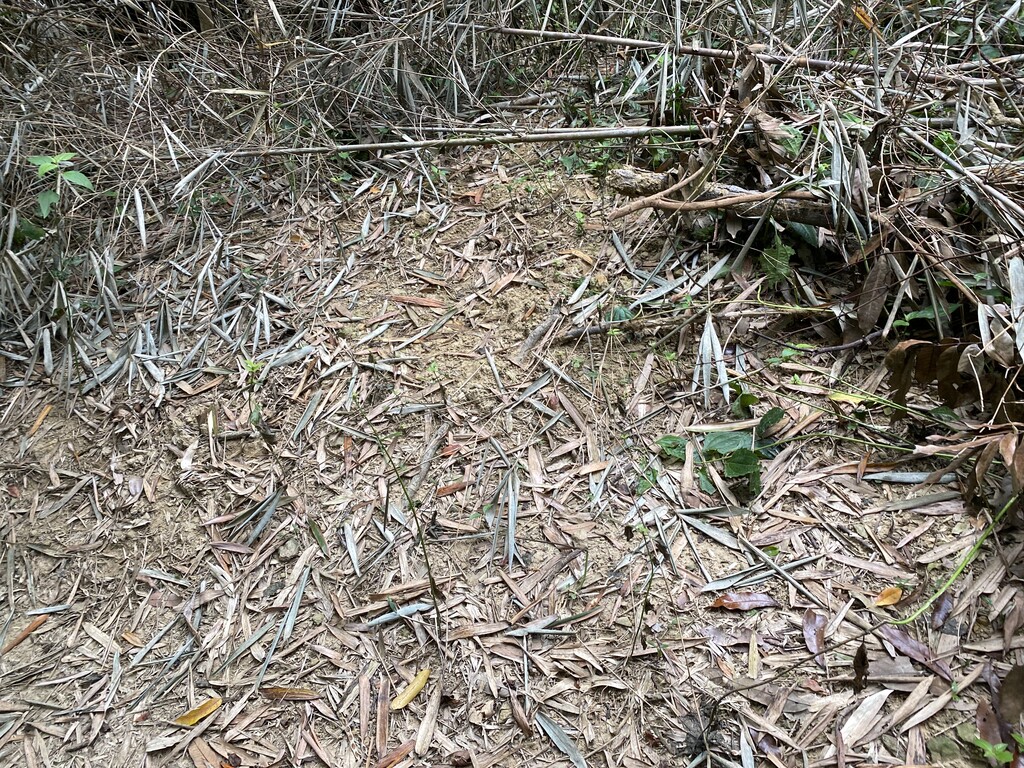 Photo №3 of Lingshan