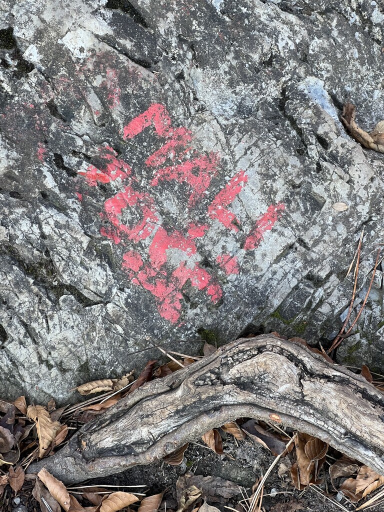 Photo №3 of Mali Tošč